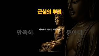 근심하는 이유 명언 불교명상 #좋은글 #근심걱정 #힐링명상