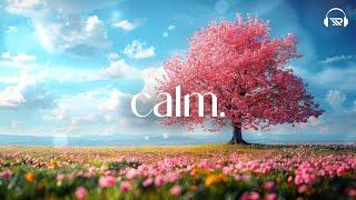  calm.music for relaxation and stress relief spa | work | unwind | rejuvenate #relaxingmusic