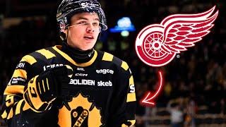 Axel Sandin Pellikka will be a SUPERSTAR with the Detroit Red Wings