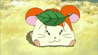 Hamtaro: piccoli criceti, grandi avventure - Sigla completa