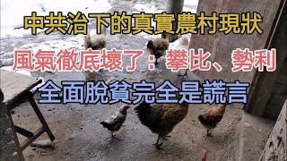 中国农村真实现状：全面脱贫完全是谎言，很多地方一年净收入为零；没钱找老婆，聚集大量光棍汉；风气彻底败坏，攀比严重，人情势利，拜金程度超过城市。|春节回乡见闻|中国农村现状