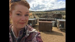 Full Homestead tour and unleashing the goats