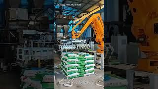High Speed Fully Automatic Carton Bag Case Robotic Palletizer