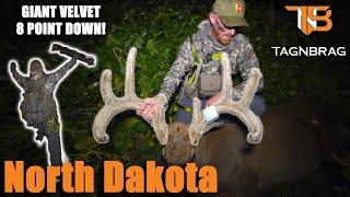 North Dakota Bow Hunt - GIANT Velvet 8 Point Down