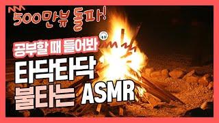 [집중력 높이는 소리] 장작 소리 효과음 백색소음 ASMR  공신 강성태