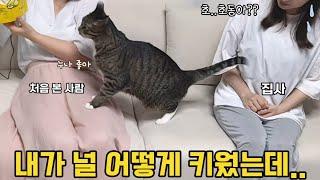 맨날 뚝배기 맞던 옆집 큰언니, 한풀이 하러 오셨습니다 (ft. 정수리 원정대)