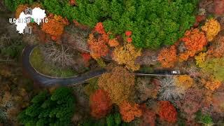 愛媛県内子町の紅葉スポット「小田深山渓谷」