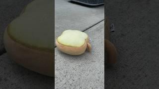 The demise of Mr. Bread