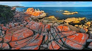 TASMANIA, Bay of Fires,: Amazing Planet (4K) 2020