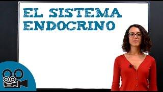 El sistema endocrino