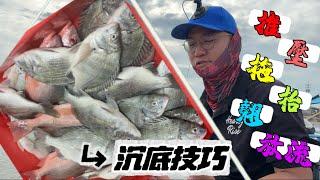 海釣場教學沉底釣法 學會立馬變高手 連鉤沉底操竿、晃餌、針對魚口技巧應用 示範講解