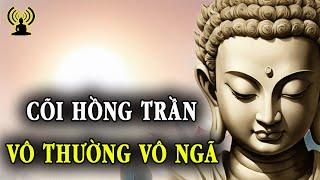 Bao Giờ Ta Mới Tỉnh Ngộ Nhận Ra Thuyết Vô Thường Này. Theo Đuổi Danh Lợi Rồi Tự Gây Đau Thương.