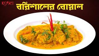 বরিশালের বোয়াল Recipe | Hangla Hneshel | Traditional Barishal Style Boal Fish Curry