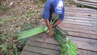 GUYANE. L'art de tresser les feuilles de palmier