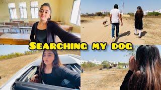 SAD NEWS Exam Ke time pe hi mera Dog kho gaya | Searching our Dog | Bindass Kavya Vlogs