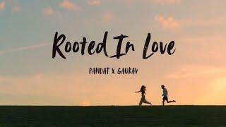 ROOTED IN LOVE | PANDIT X GAURAV | LATEST LOVE SONG 2025