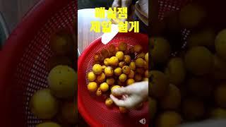 매실잼 제일 쉽게 하려면 #매실잼 #숙성