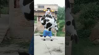 cow funny  dance # viral  video # trinding  short 