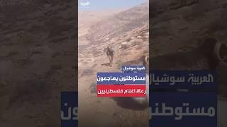 مستوطنون يهاجمون المزارعين أثناء رعيهم الأغنام في مسافر يطا جنوب الخليل