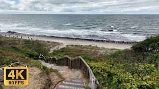 Nordteil der Insel Hiddensee - Natur