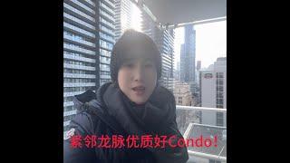 多伦多紧靠龙脉适合自住的高档Condo
