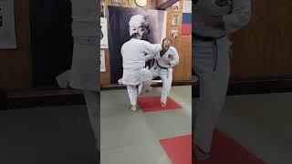 Okinawa Goju ryu Karate do Kyokai OGKK Shepkin Leonid 7 Dan in the World Budo Academy 55