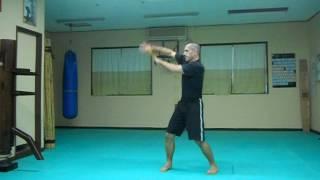 Okinawa Ryuibukan Academy: Wing Chun - rattan ring