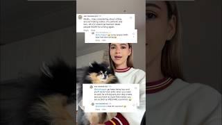 She left hate… we raised funds for dogs instead  #dog #shorts #pomeranian