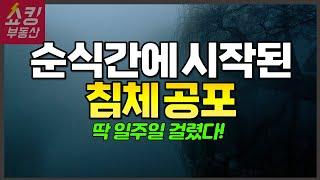 일주일 만에 상황이 이렇게 달라졌습니다