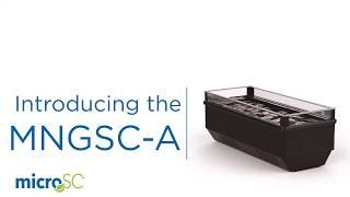 Hussmann microSC MNGSC-A: Future-proof solution with R-290 (Propane)