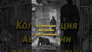 Британская колонизация Австралии. Мединский #shorts #история