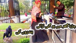 Aaj Ham Sab Ge Chidiyaghar Ki Sair Ko New Zoo Lahore ||@Saimafoodsecrets786