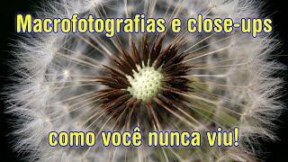 macrofotografias e close-ups como você nunca viu - por Tacio Philip