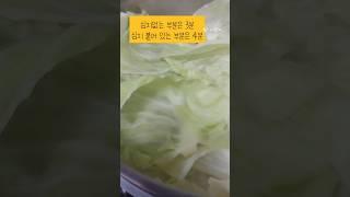 양배추 찌는 시간, 3~4분 joyfulharu 조이플하루