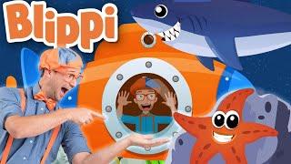 Ocean Animals Song | Life at Sea | Kids Ocean Learning | Toddler Show