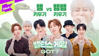 뱀뱀 키우기 VS 뱀 키우기 GOT7의 선택은?｜갓세븐｜PYTHON｜Balance Game｜밸런스 게임