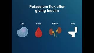 Diagnosing and Managing Diabetic Ketoacidosis