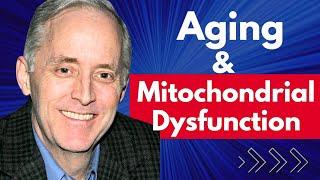 Aging & Mitochondrial Dysfunction Why mtDNA is The Key | Tom Benson Interview Clips