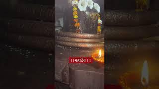 Visiting the 4000 year old shivling in sawaimadhopur #ranthambore #ganeshmandir #yadav