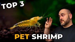 [Top 3] Freshwater Aquarium Shrimp in 2022