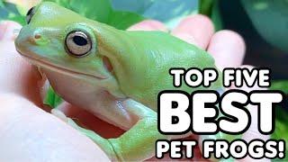 Top Five Best Pet Frogs!