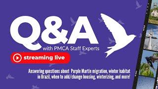 PMCA Live Q&A #4