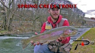 Winter Trout on Pennsylvania's Spring Creek