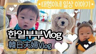 ■한일부부 태형이네■ 일상Vlog, ■韓日夫婦テヒョンだね■日常Vlog, ■ Korean-Japanese couple Taehyung ■ Daily Vlog