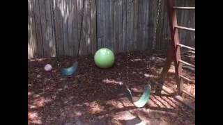 Aaron Chewning's post on Vine 3
