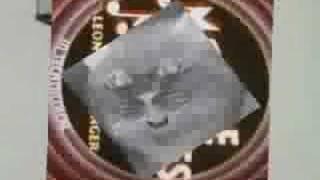 YouTube Poop: APPARENTLY THIS IS CLASSY AND ALL MY OTHER WORK IS TRASH BECAUSE THIS TOOK NO EFFORT AT ALL IS EXCESIVELY LOUD AND MAKES NO SENSE WHATSOEVER CAUSE ALL THE COOL KIDS ARE DOING THIS KIND OF THING K?