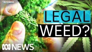 When will marijuana be legalised for adult use in Australia? | The Business | ABC News