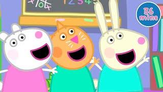 Peppa Pig | Zoe Zebra & More | Full Episodes