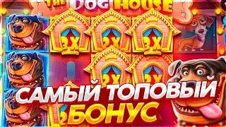 СЛОВИЛ КРУПНЫЙ ЗАНОС С ПОЛЯНОЙ БУДОК! ЗАНОС В THE DOG HOUSE В БОНУСКЕ ЗА 100К! ДОГ ХАУС