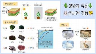 [고1 생태계와 환경] 1강. 환경과 생물의 적응⎢생태계 평형⎢생산자, 소비자, 분해자‍🟫